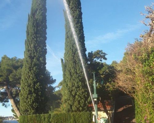 Un technicien traite un cypres avec une lance