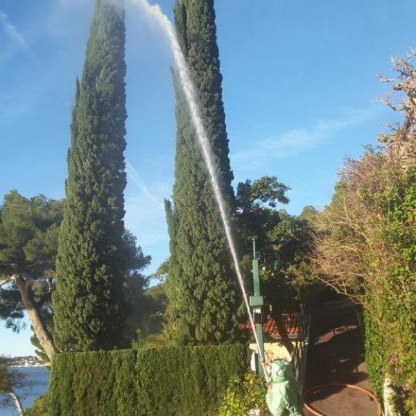 Un technicien traite un cypres avec une lance